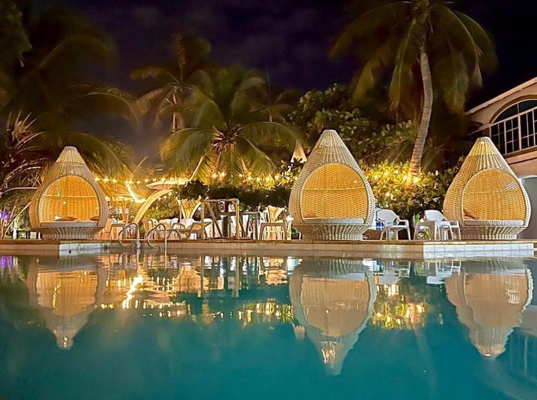 Hermoso En La Isla De Punta Arena